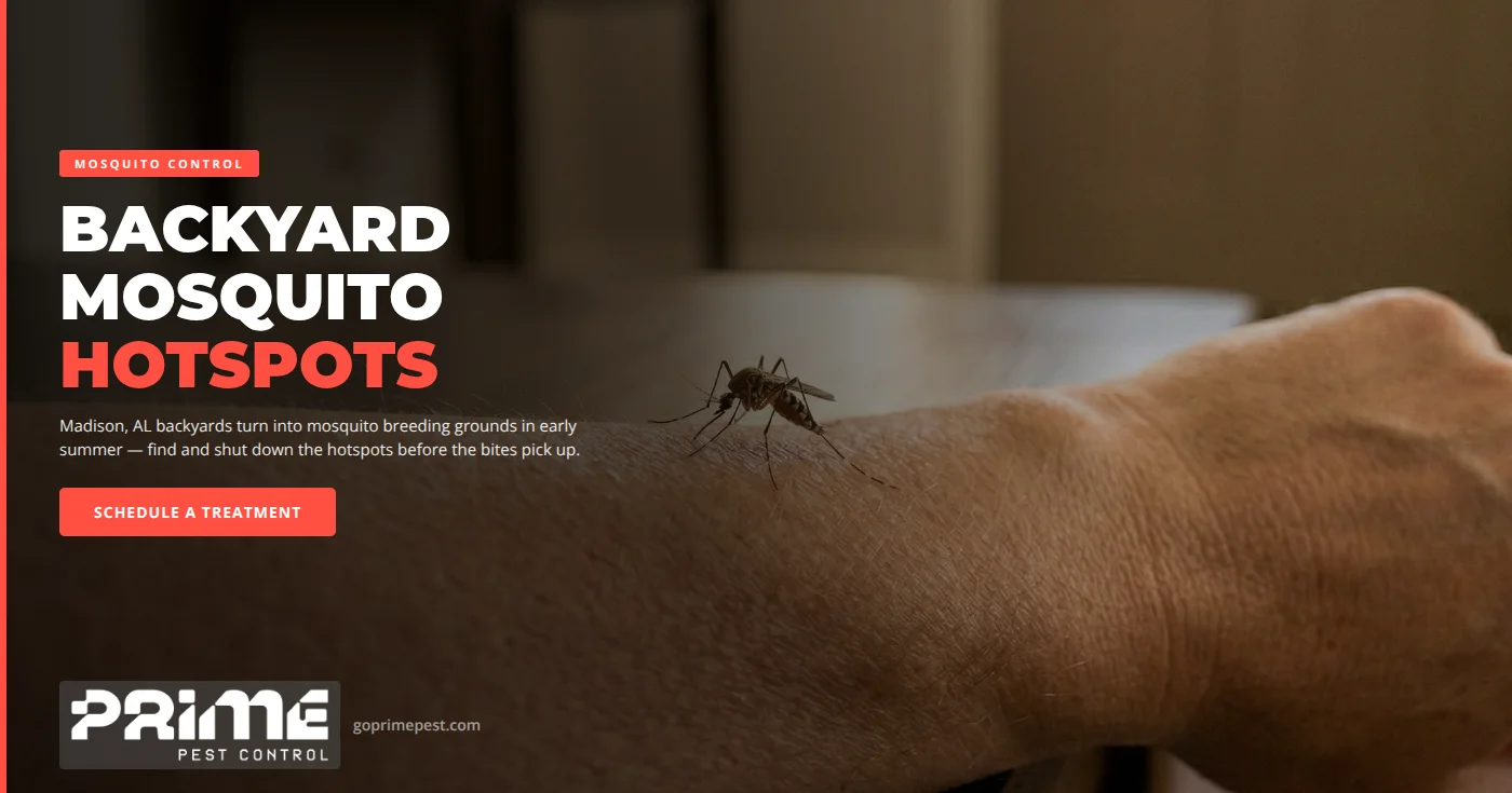Backyard Mosquito Hotspots in Madison, AL: Where They Breed and How to Shut Them Down
