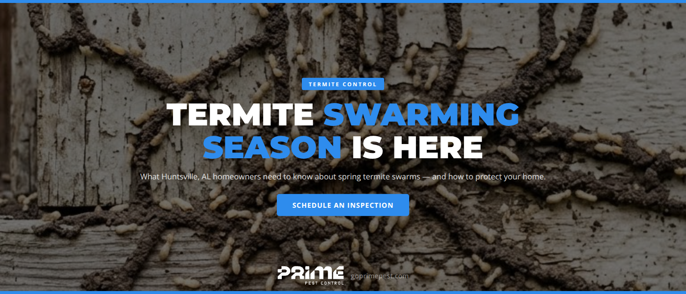 Termite Swarming Season in Huntsville, AL: What to Watch for This Spring | Prime Pest Control